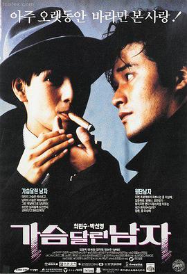 免费大片在线观看 怒火边界